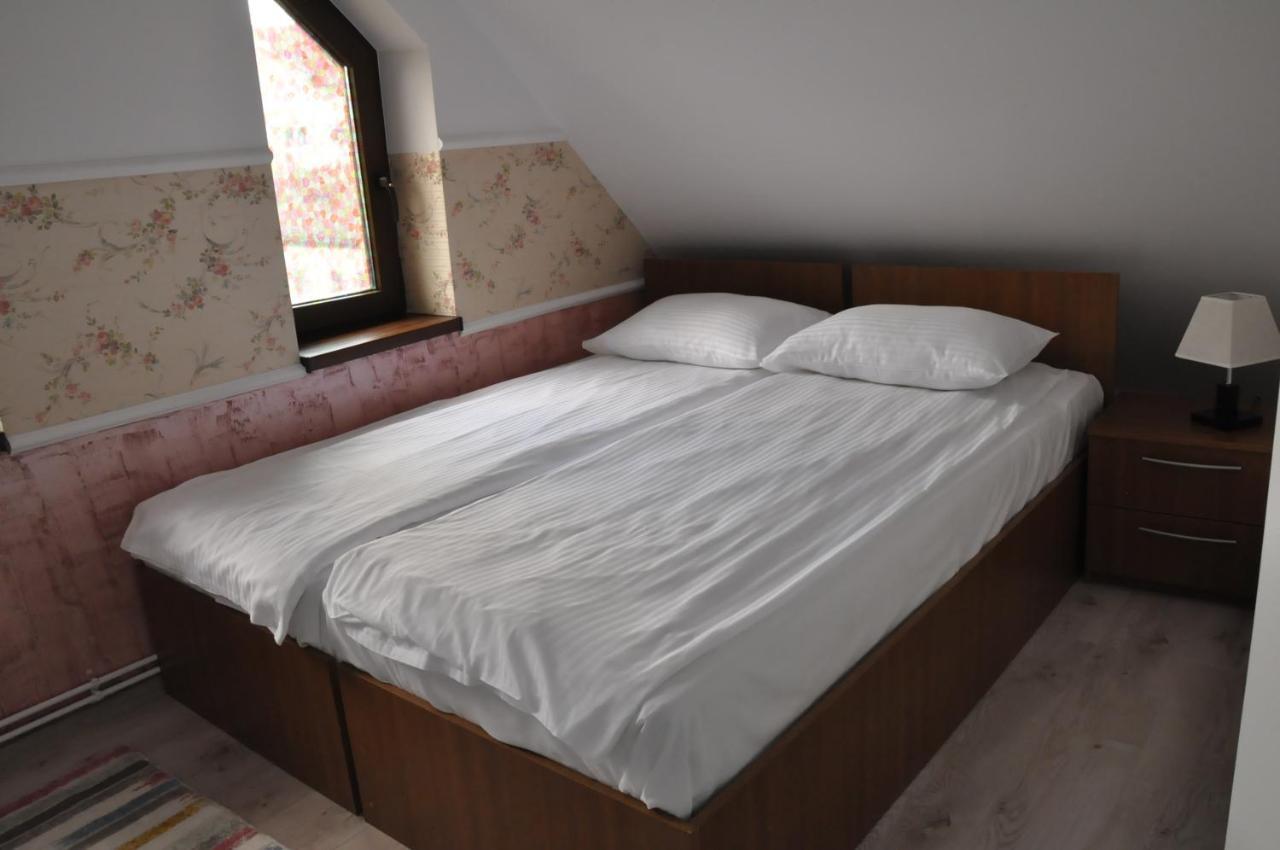 Carpathian Villa Sibiu Buitenkant foto