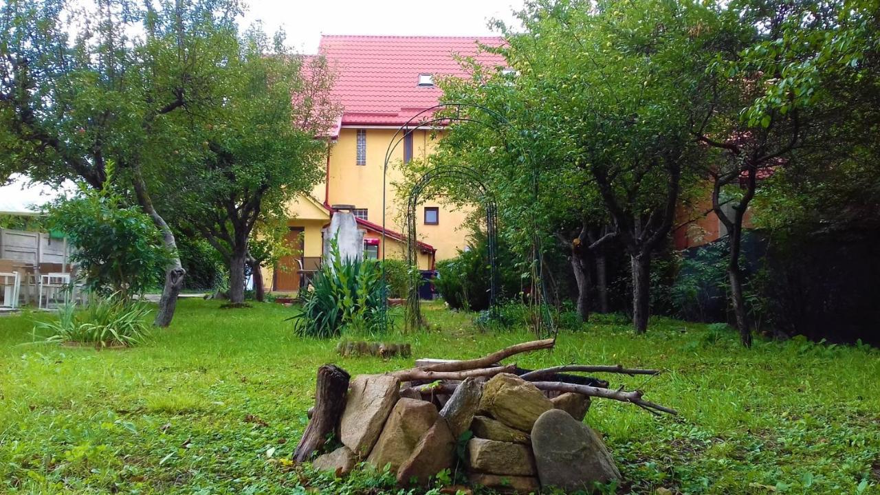Carpathian Villa Sibiu Buitenkant foto