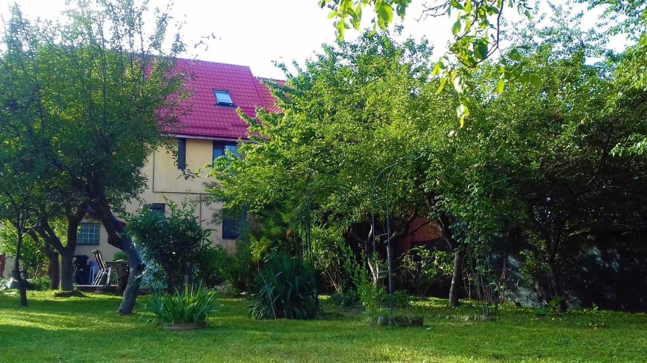Carpathian Villa Sibiu Buitenkant foto